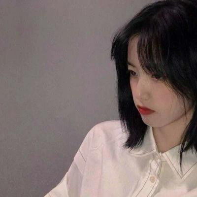 宠物精灵果盘版下载